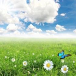 是你的東正呀11_CA