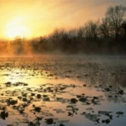 android用戶2373001