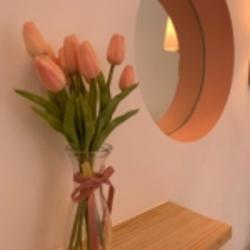 一條小學(xué)成1