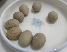 小鸡产了八枚鸡蛋🥚[图]