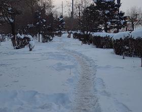 【又飘雪花了】[图]