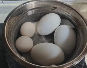 🥚[图]