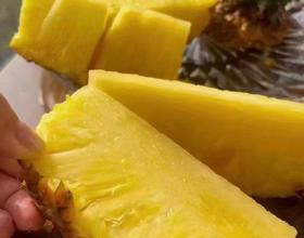 菠萝[图]