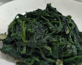 清炒山菜“大叶芹”[图]