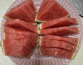 西瓜🍉[图]