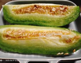 菜瓜[图]
