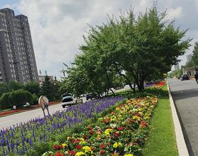 天气好，空气好，环境优雅！[图]