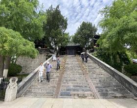 明湖看柳赏荷2[图]