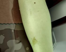 打卡[图]