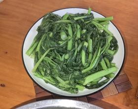 自家种的菜心[图]