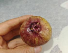 怎么显示才发布了两个美食贴，再发一下[图]