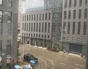 打卡[图]