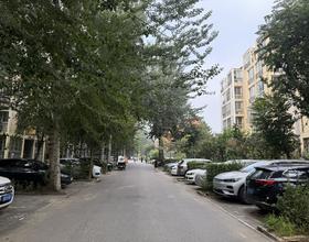 秋天[图]