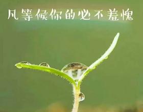 等候主[图]