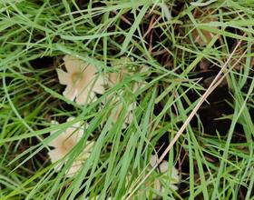 大自然的饋贈(zèng)