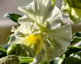 晒晒更美丽[图]