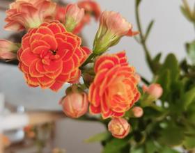 小年快乐💐[图]