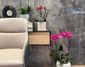 春节集锦（一）：愿您一路生花！[图]