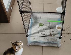 相安无事，互不干扰！