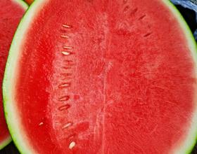 【吃瓜🍉】[图]