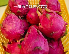 打卡[图]
