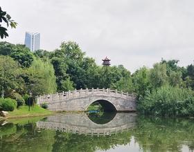天晴啦！☀️[图]
