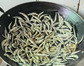香煎小河鱼😊[图]