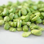蚕豆米[图]